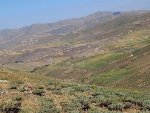 عکس سامبران