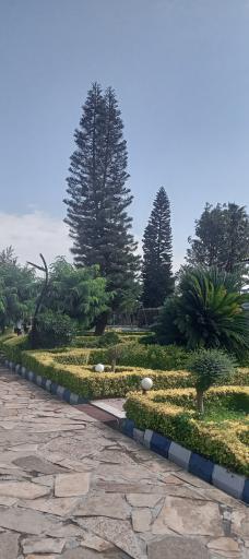 عکس مجتمع فرهنگی رفاهی رضوان