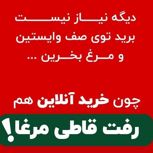 عکس مرغ آنلاین بوکان 