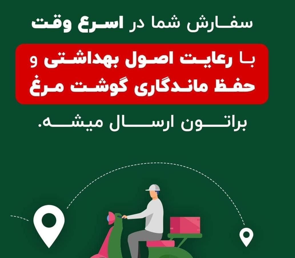 عکس مرغ آنلاین بوکان 
