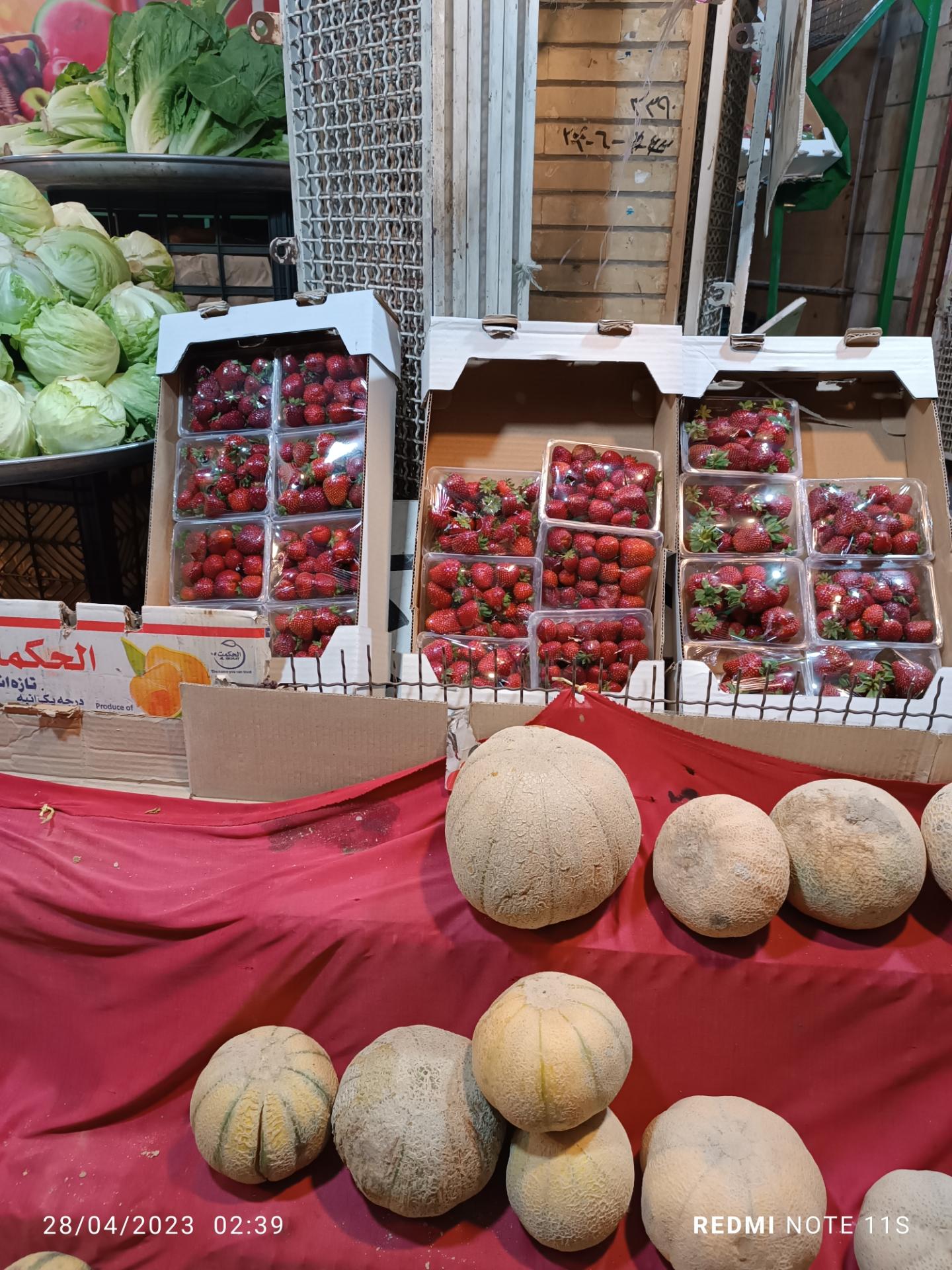 عکس میوه فروشی شبانه روزی 