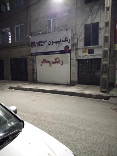 عکس رنگ نیپون