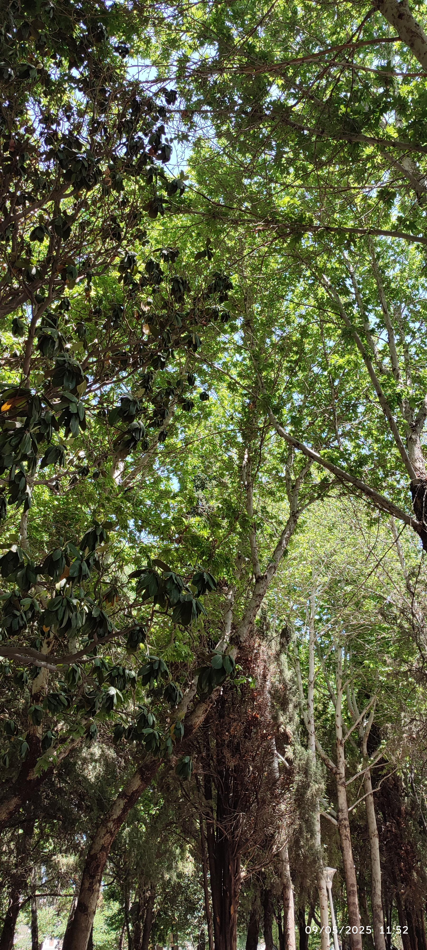 عکس بوستان کودک