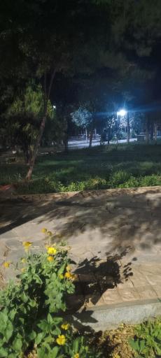 عکس پارک معلم