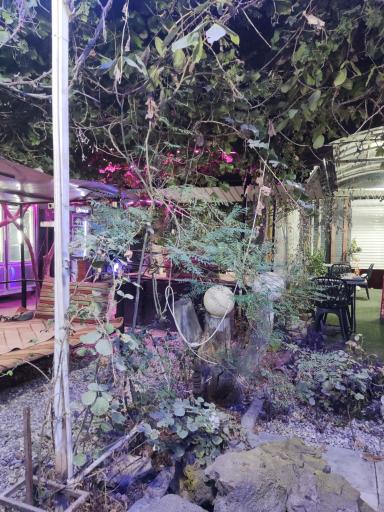 عکس رستوران خونه باغ