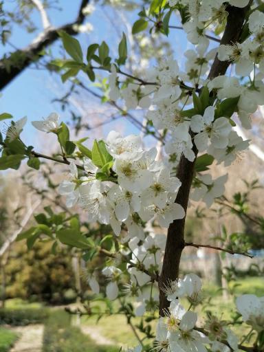 عکس بوستان کودک