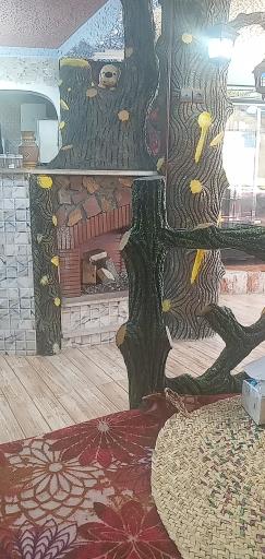 عکس رستوران دارک بلو