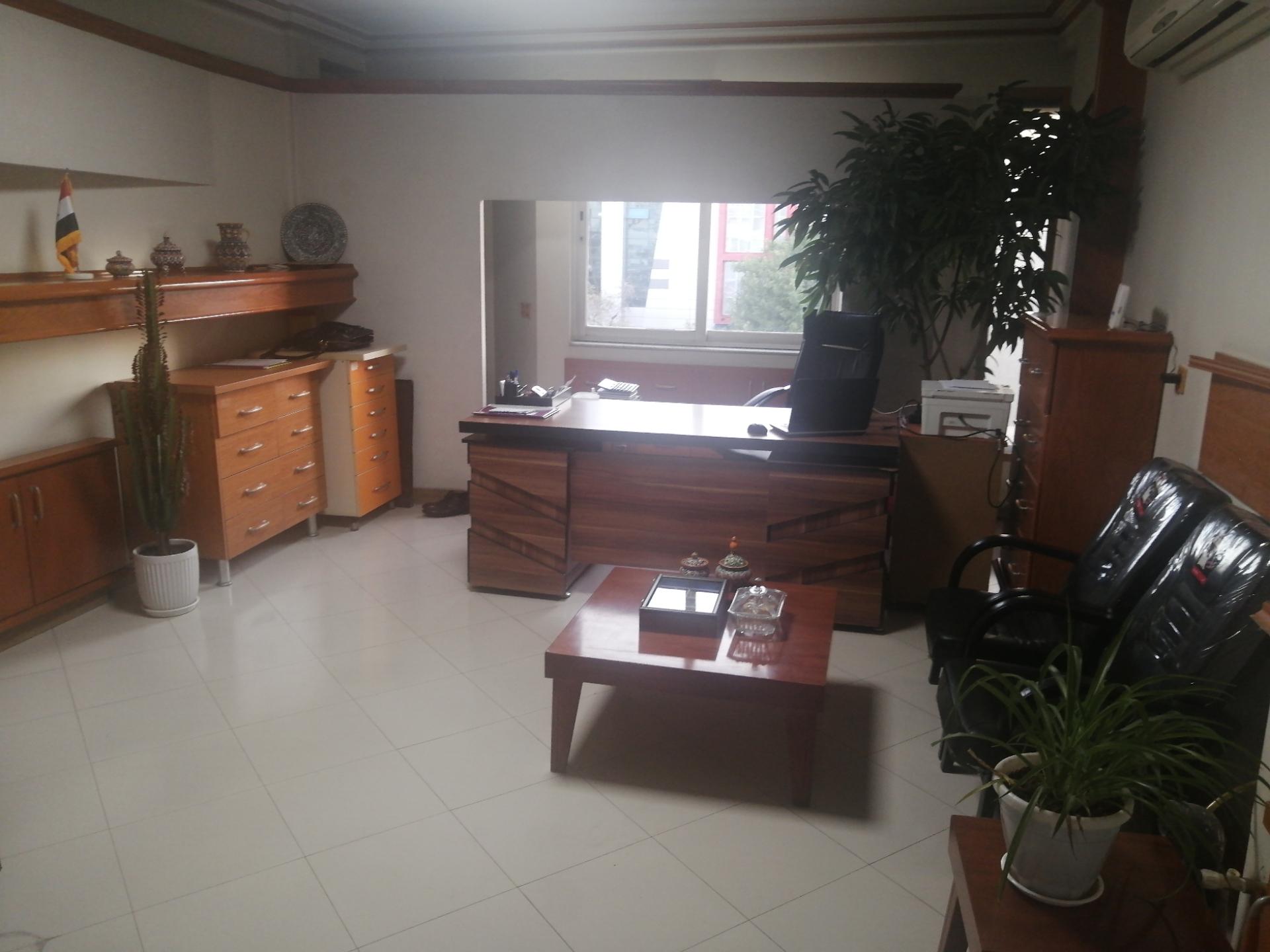 عکس شرکت گردشگری سلامت زکریا مد تور