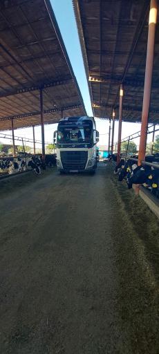 عکس کارخانه پگاه تبریز