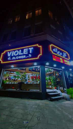 عکس گل ویولت