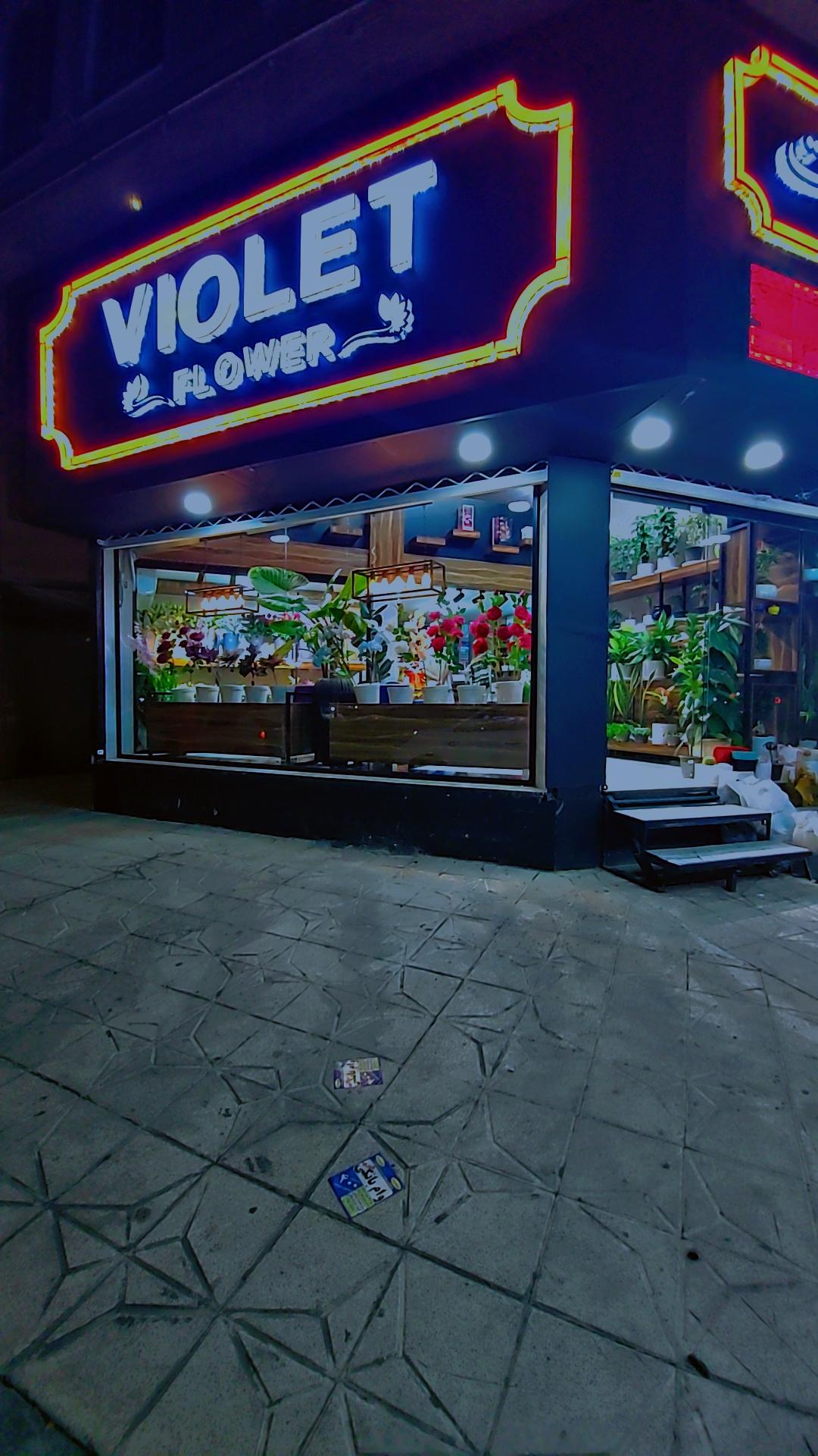 عکس گل ویولت