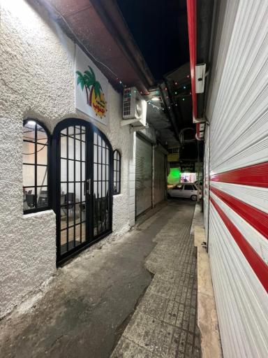 عکس فلافل جنوب