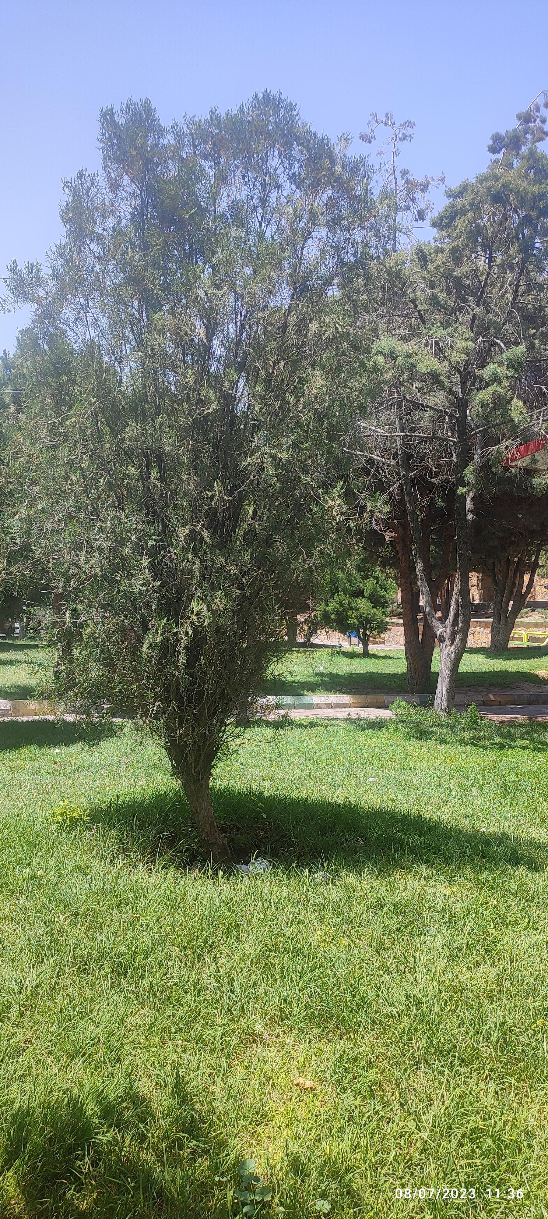 عکس پارک چشم انداز