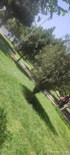 عکس پارک چشم انداز