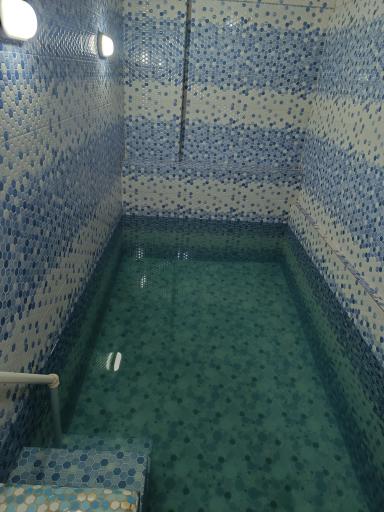 عکس سوئیت های استخردار و بدون استخر لاروسر