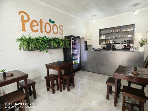 عکس کافـه پتــوس