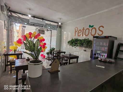 عکس کافـه پتــوس