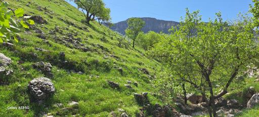 عکس گچساران