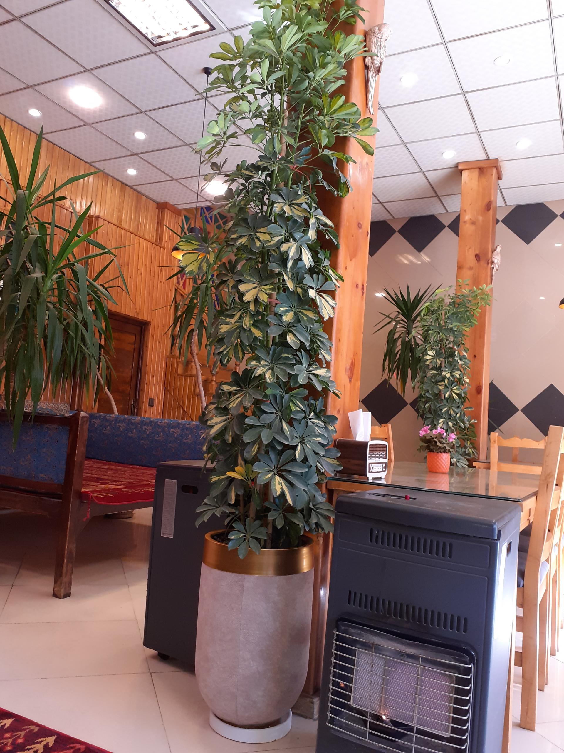 عکس رستوران کوهسار