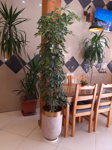 عکس رستوران کوهسار