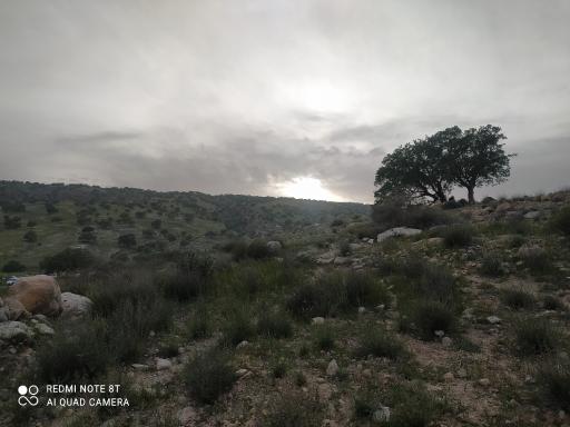 عکس گچساران