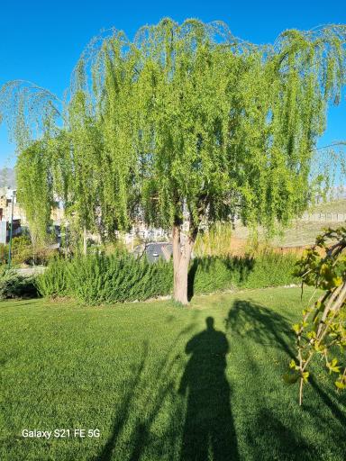 عکس گچساران