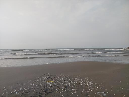 عکس ساحل دریا کاسپین