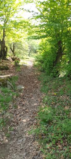 عکس گچساران