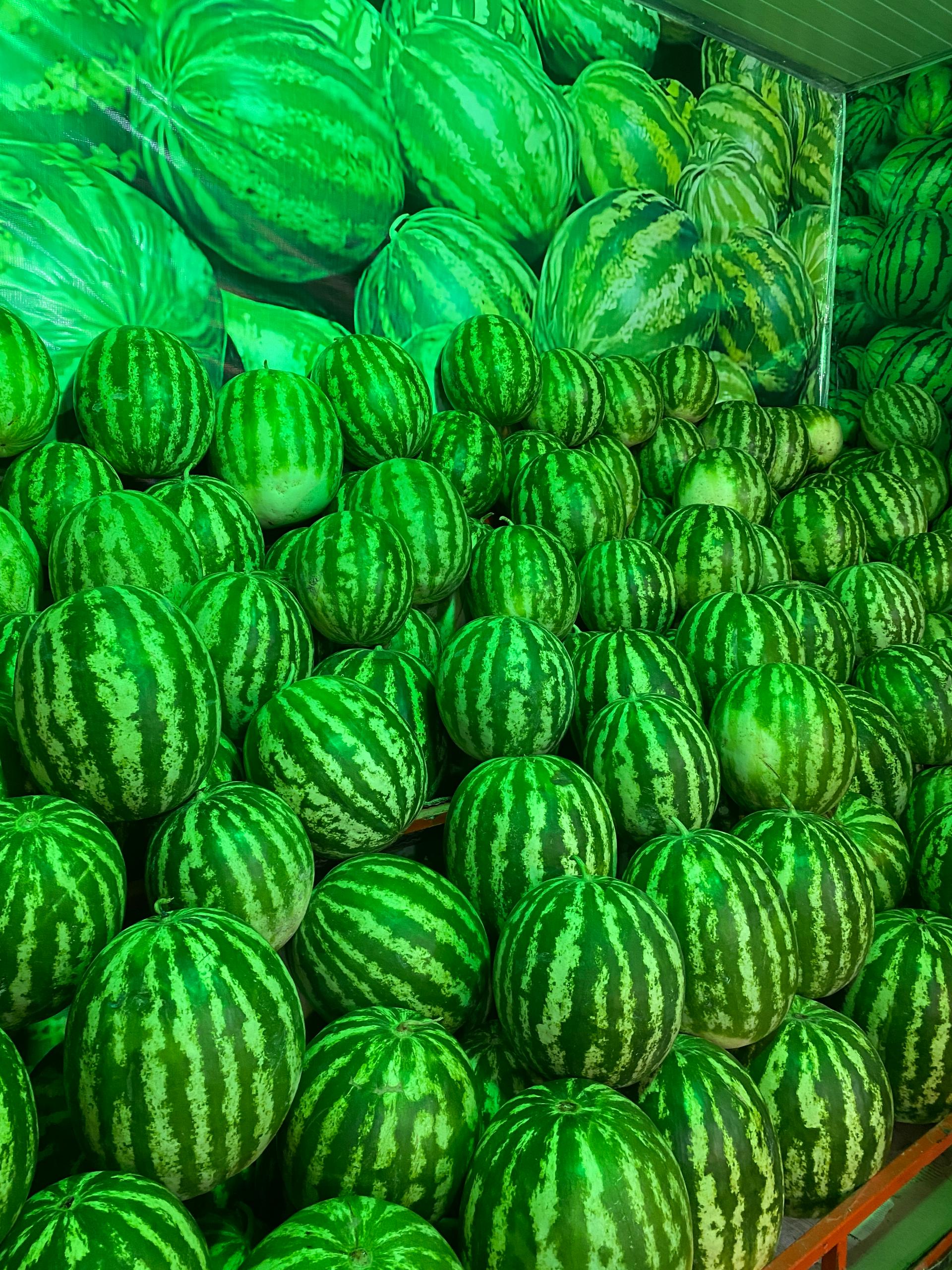 عکس هایپرمیوه فتحی