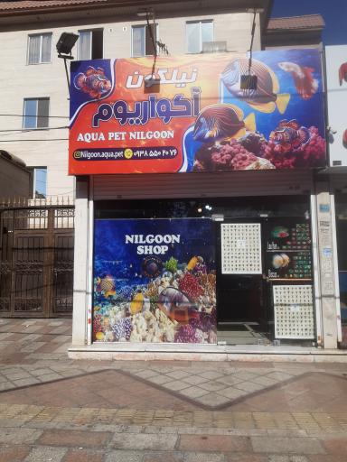 عکس آکواریوم نیلگون