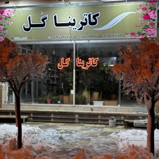 عکس کاترینا گل