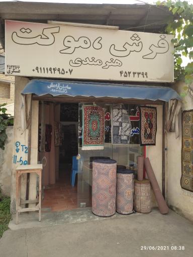 عکس فرش و موکت هنرمندی