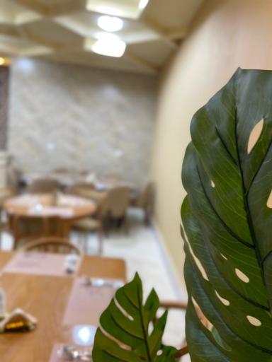 رستوران مادر من