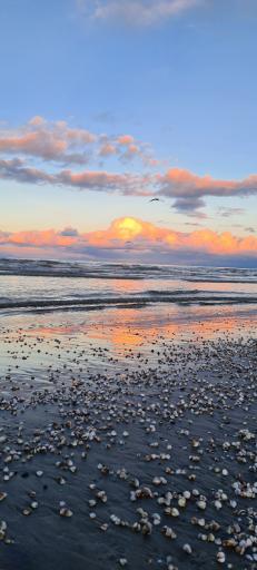 عکس ساحل دریا کاسپین