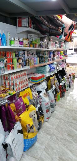 عکس پت شاپ گارفیلد