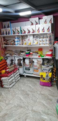 عکس پت شاپ گارفیلد