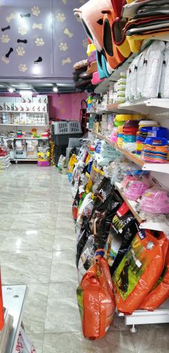 عکس پت شاپ گارفیلد