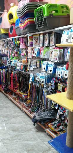 عکس پت شاپ گارفیلد