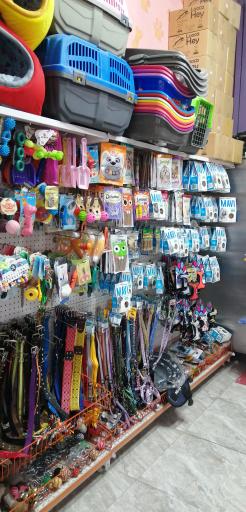 عکس پت شاپ گارفیلد