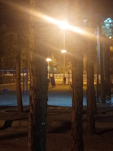 عکس تاب و سرسره کودکان پارک جنگلی