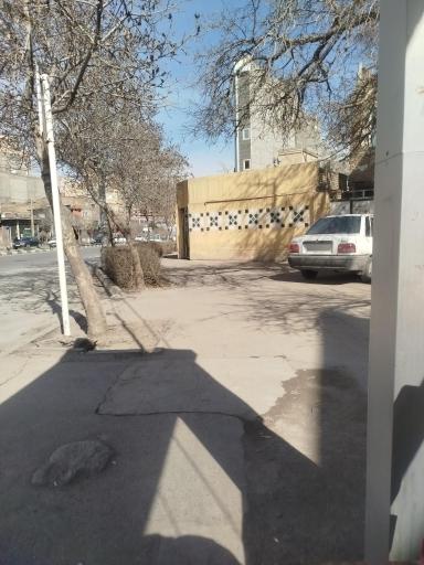 عکس  شهید اسماعیل پور 4