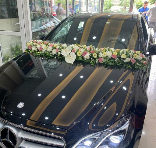 عکس گلسرای پردیس