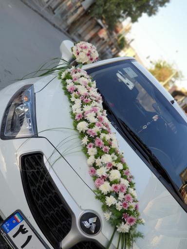 عکس گلسرای پردیس