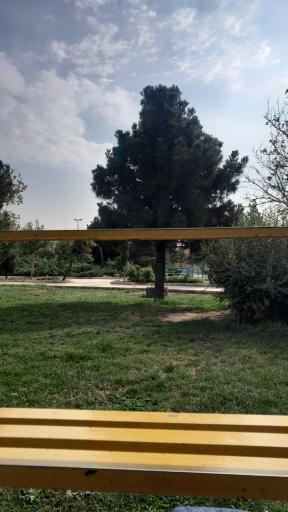 عکس بوستان حافظ