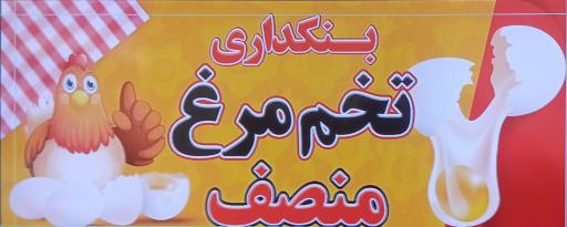 عکس بنکداری تخم مرغ منصف