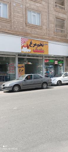 عکس بنکداری تخم مرغ منصف