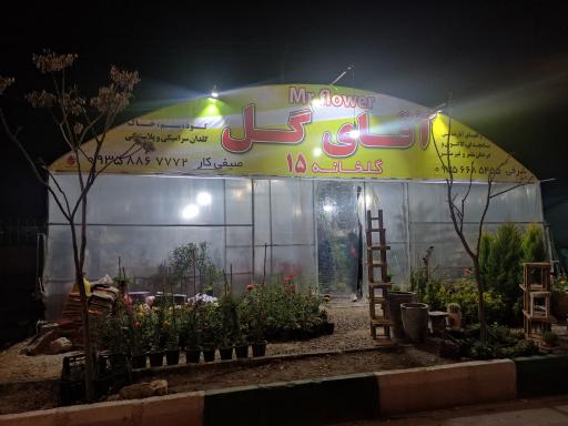 عکس گلخانه آقای گل