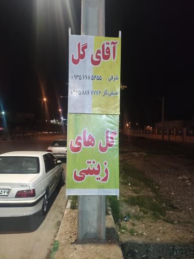 عکس گلخانه آقای گل