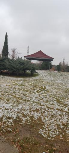 عکس بوستان حافظ