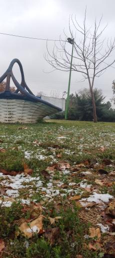 عکس بوستان حافظ